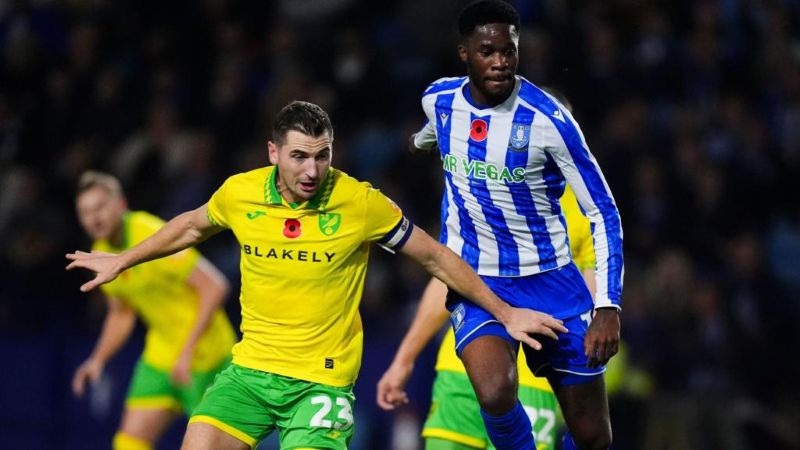 nhan-dinh-norwich-vs-sheffield-wed-ngay-26-02